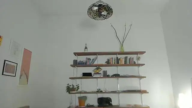 AliceSnowCatt online show from November 20, 12:33 am