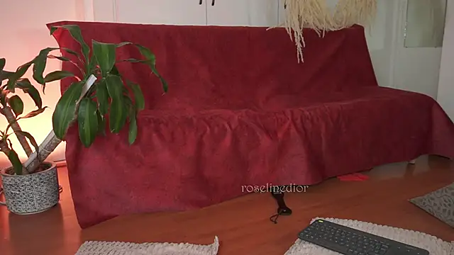 roselinedior online show from October 3, 4:40 pm