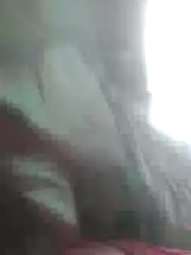 lorraine alves ferreira online show from November 12, 3:55 pm