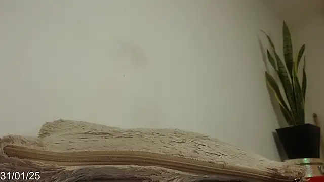 Sara valen18 online show from January 31, 1:34 pm