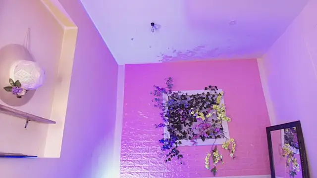 Katy bratz  online show from September 10, 2:54 am