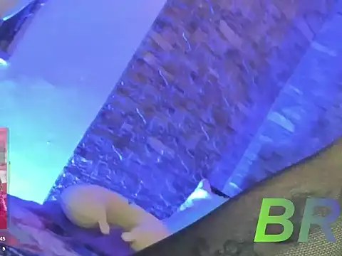 Electra Price online show from September 16, 7:13 am