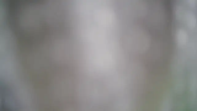 MissAsly online show from November 15, 4:05 pm