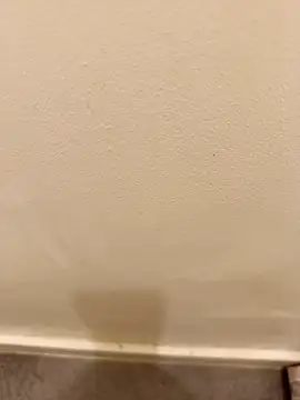  Gabriela 5Live online show from November 10, 5:03 pm