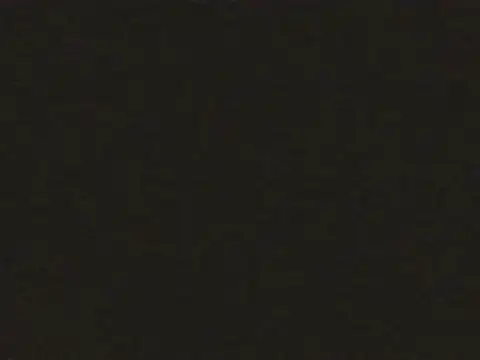 snow tsx99 online show from November 11, 9:11 am