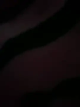 GAY 12 online show from February 3, 4:10 am