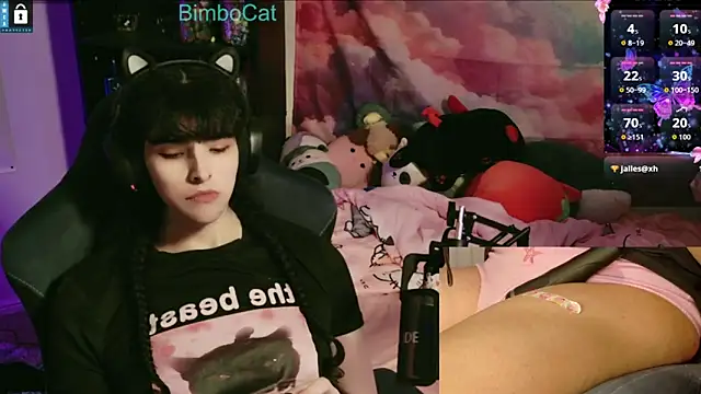 BimboCat online show from December 1, 3:20 am