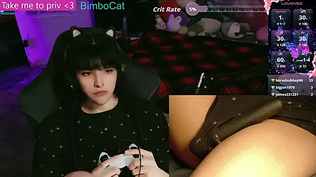 BimboCat online show from December 17, 3:01 am