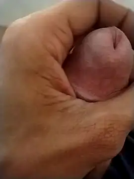 GDwrzsc2bfc online show from December 4, 9:46 am