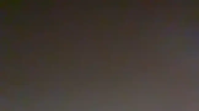 Sunning2 online show from December 20, 11:00 am