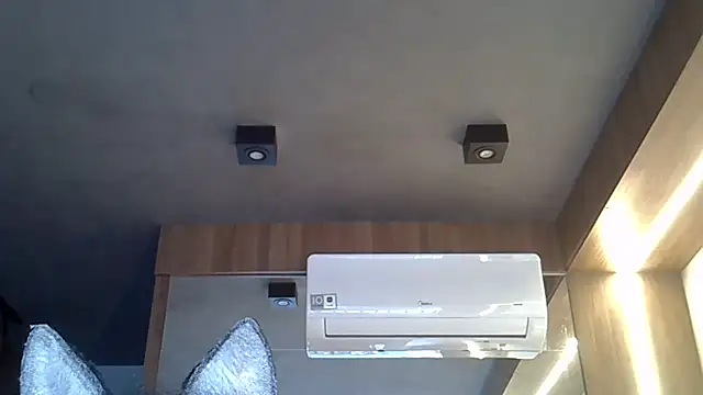 Skinny-Kitten online show from November 4, 9:30 am