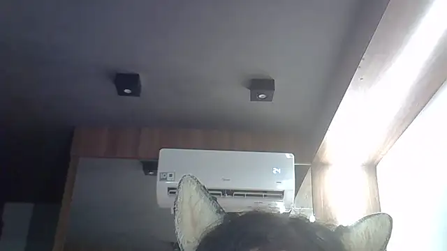 Skinny-Kitten online show from March 28, 8:49 am